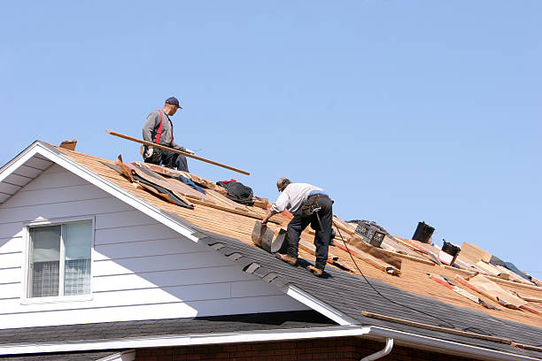 Best Asphalt Shingle Roofing  in Wlowbrook, IL